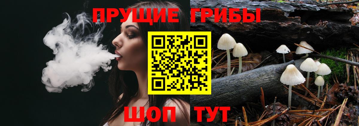 Псилоцибиновые грибы MAGIC MUSHROOMS  Галлюциногенные грибы Cubensis  Благодарный  Вход с VPN 